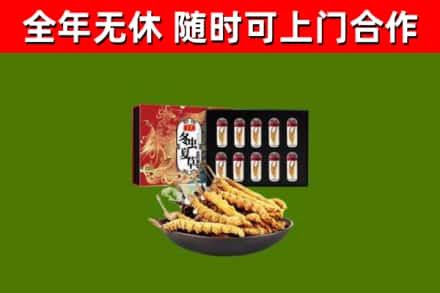 原州回收冬虫夏草价格